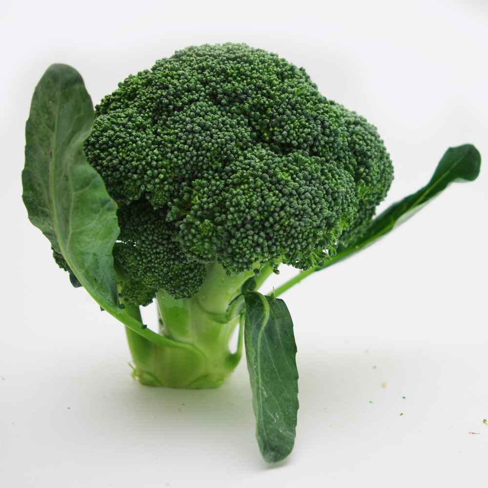 蔬菜名稱:【燎原特惠】西蘭花綠花菜綠色種植綠色無公害蔬菜新鮮青菜順豐